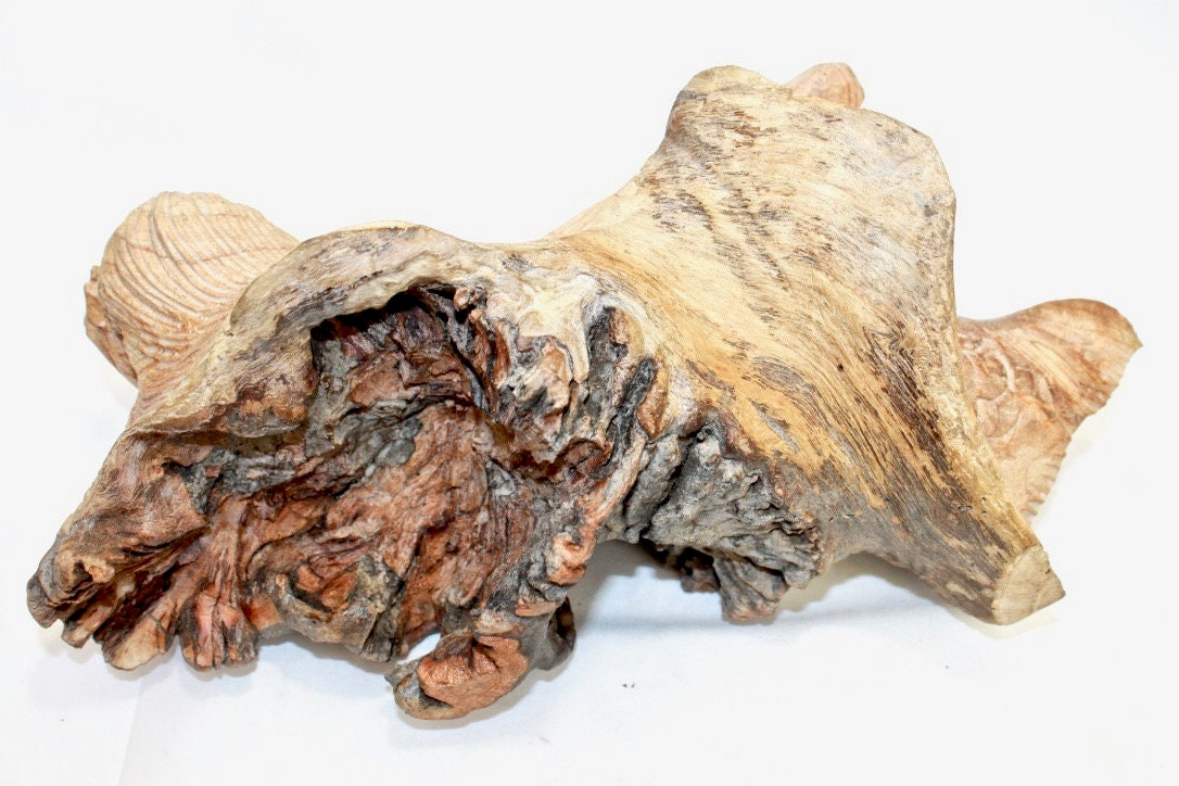 Mermaid Statue Parasite Mushroom Wood Carving Sculpture Bali Art - Acadia World Traders