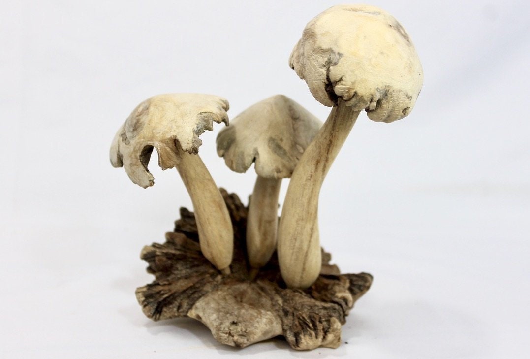 Magic Fungi Mushroom Statue Parasite Wood Carving Handmade Bali Art Sculpture - Acadia World Traders