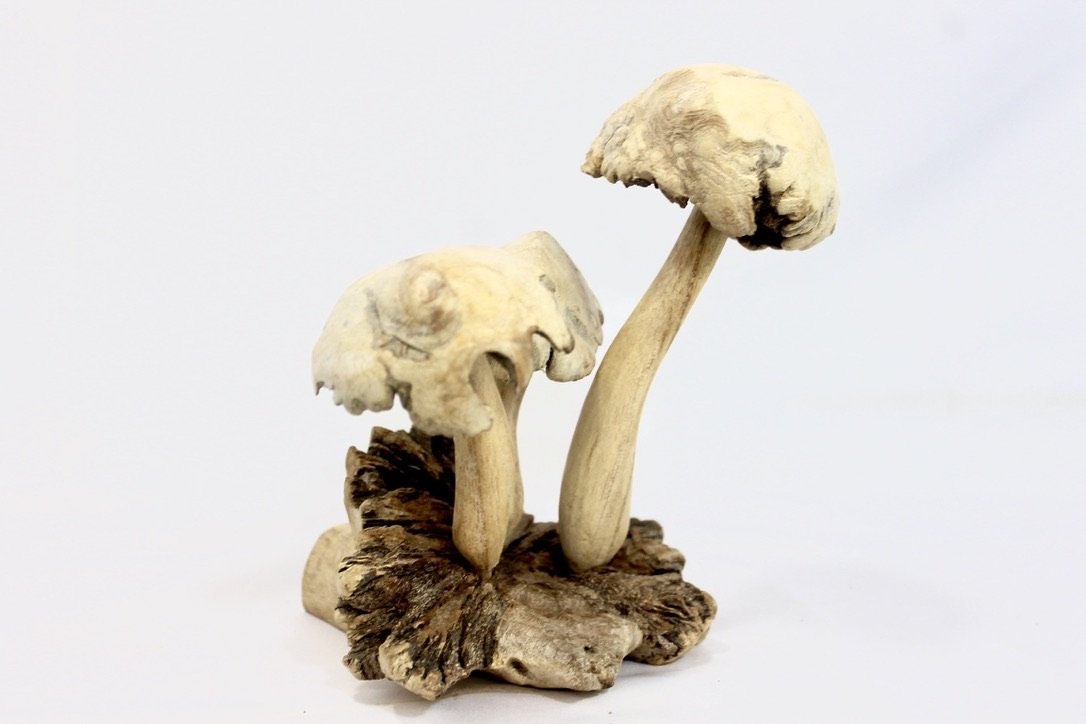 Magic Fungi Mushroom Statue Parasite Wood Carving Handmade Bali Art Sculpture - Acadia World Traders