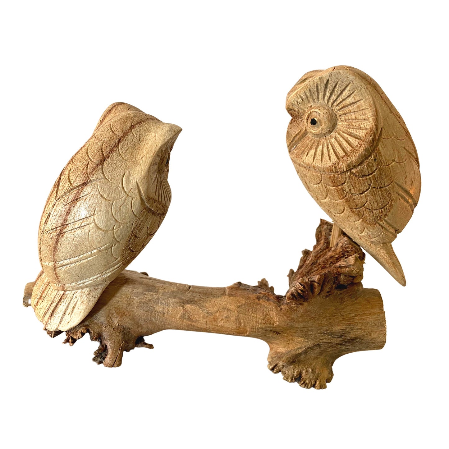 Roosting Owl Bird Sculpture Hand Carved Parasite Mushroom Wood Statue Bali art