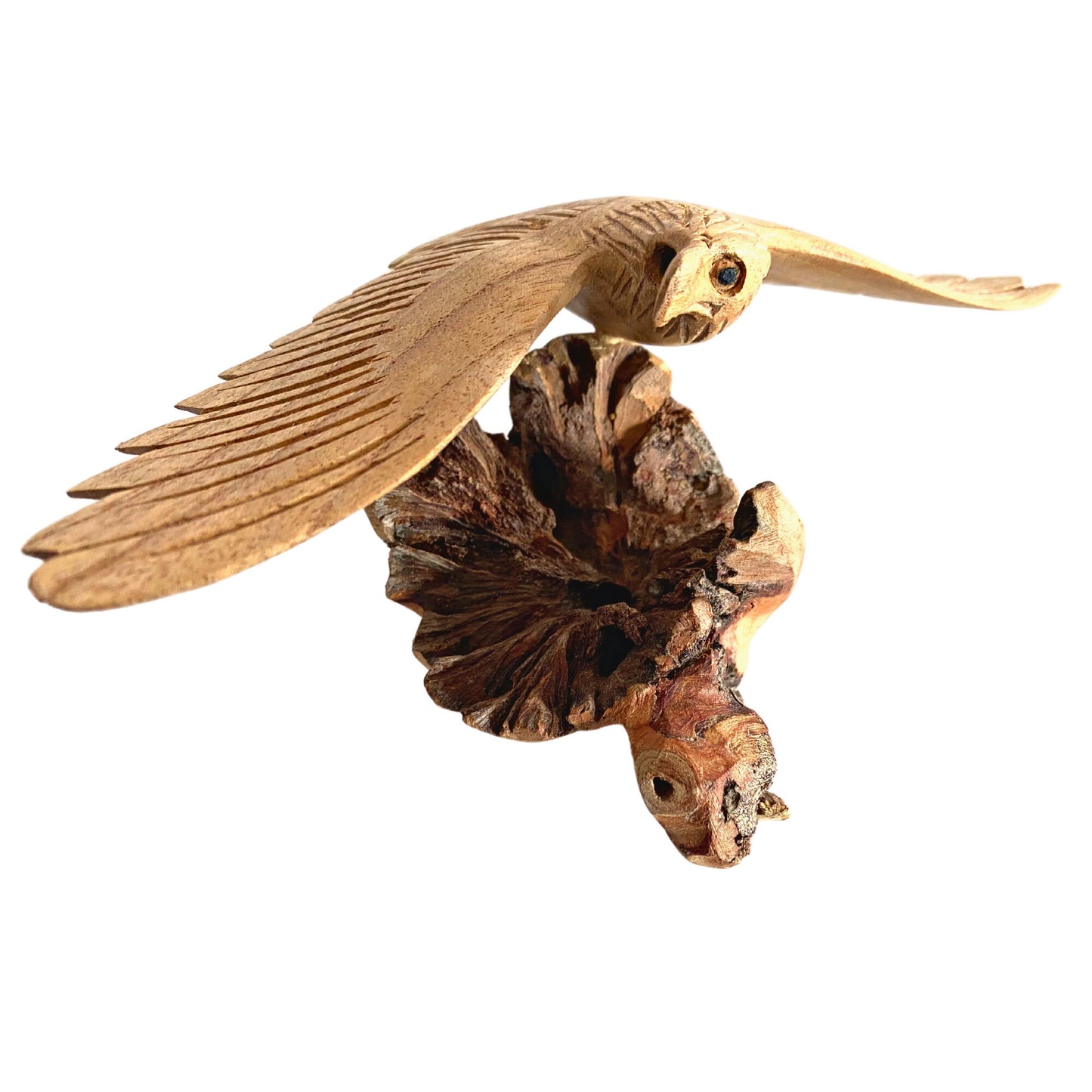 Swooping Eagle Bird of Prey Sculpture Hand Carved Parasite Mushroom Wood Statue Bali art