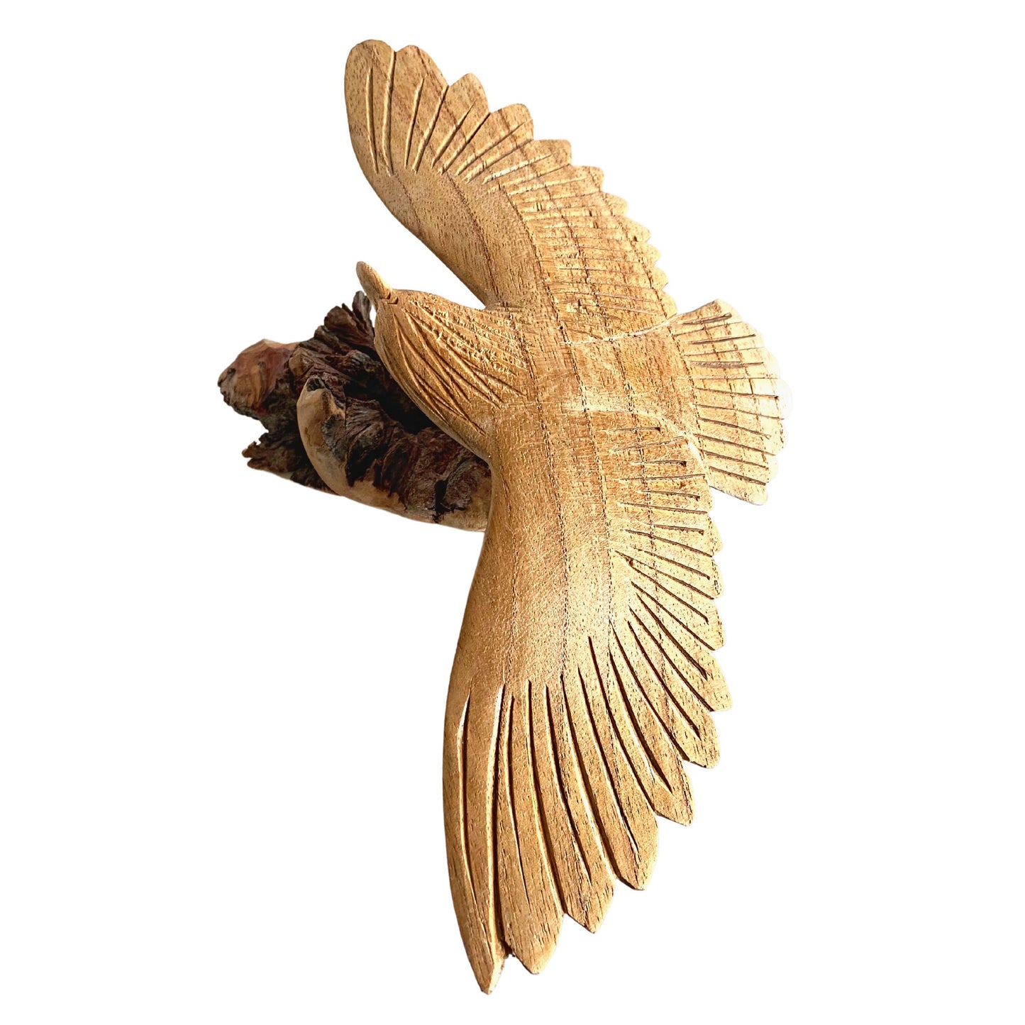 Swooping Eagle Bird of Prey Sculpture Hand Carved Parasite Mushroom Wood Statue Bali art