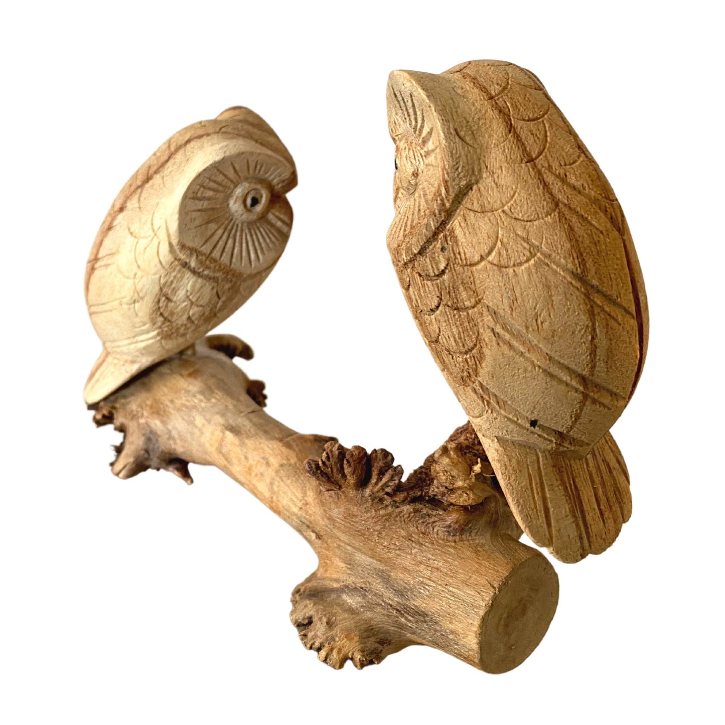 Roosting Owl Bird Sculpture Hand Carved Parasite Mushroom Wood Statue Bali art