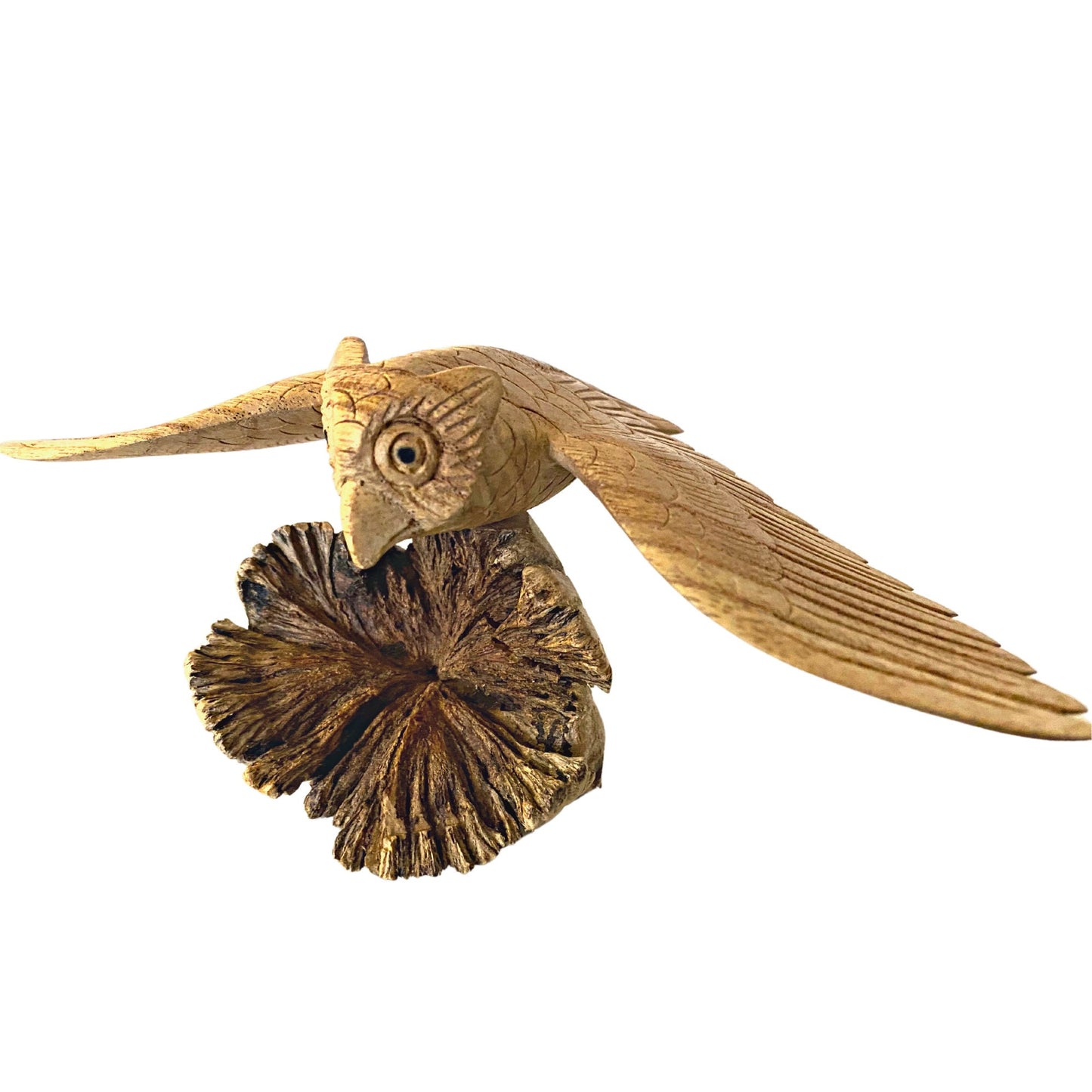 flying Owl Bird of Prey Sculpture Hand Carved Parasite Mushroom Wood Statue Bali art