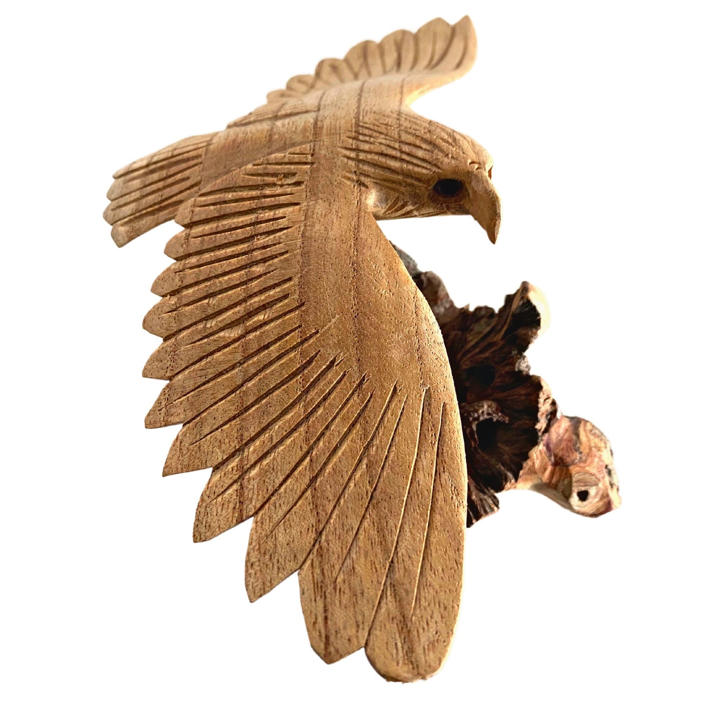 Swooping Eagle Bird of Prey Sculpture Hand Carved Parasite Mushroom Wood Statue Bali art