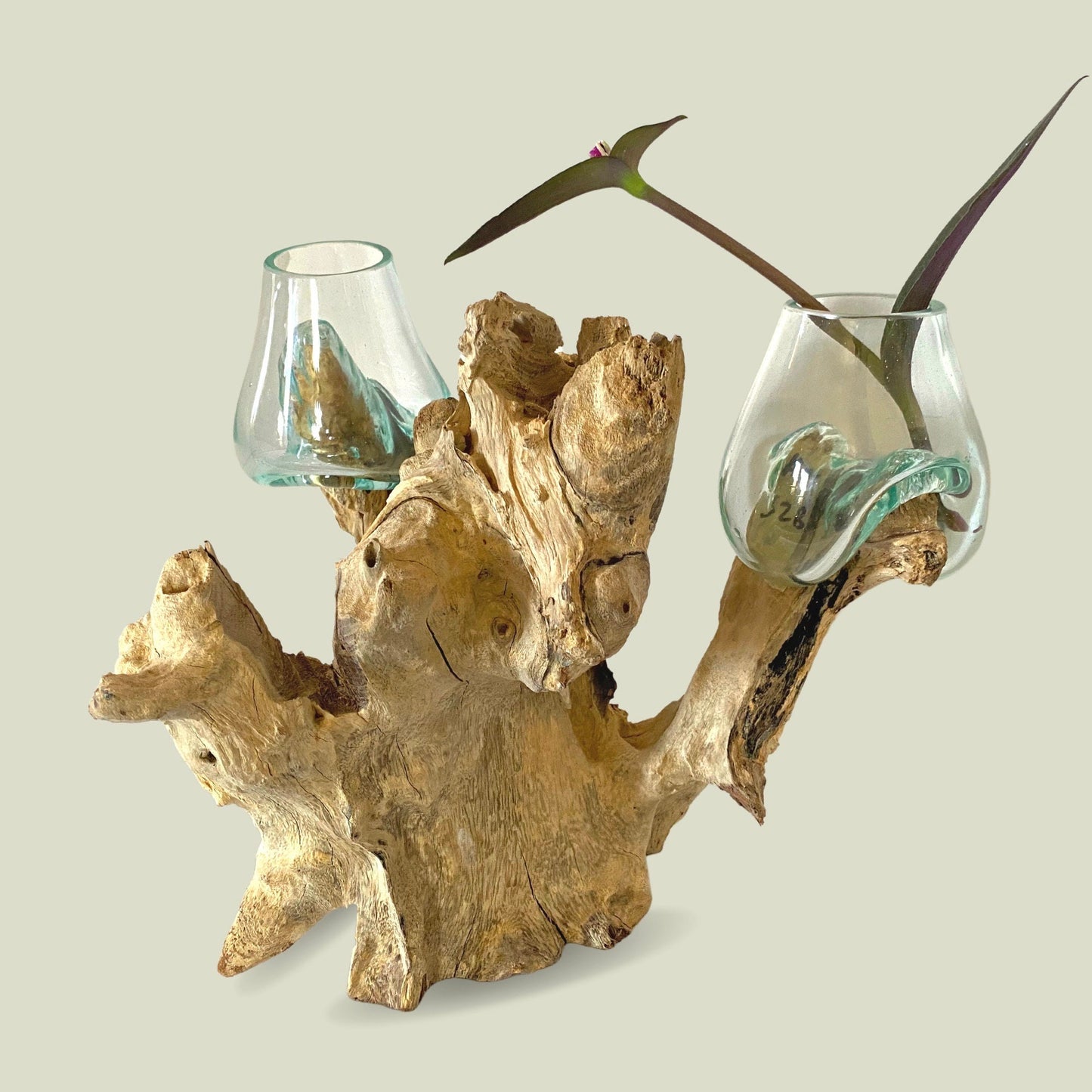 Hand Blown Glass Double Terrarium Bowl Vase Plant Propagation Rooter Slumped Reclaimed Teak Root Wood Base Eclectic Boho Decor Balinese Art