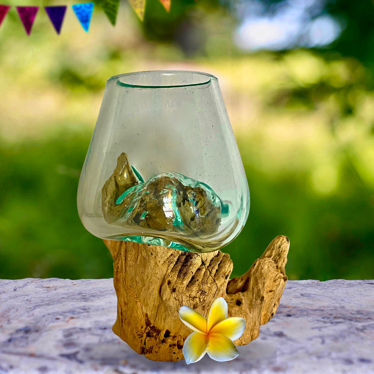 Hand Blown Glass Plant Propagation Vase: Slumped on Reclaimed Teak Wood Base, Balinese Decor