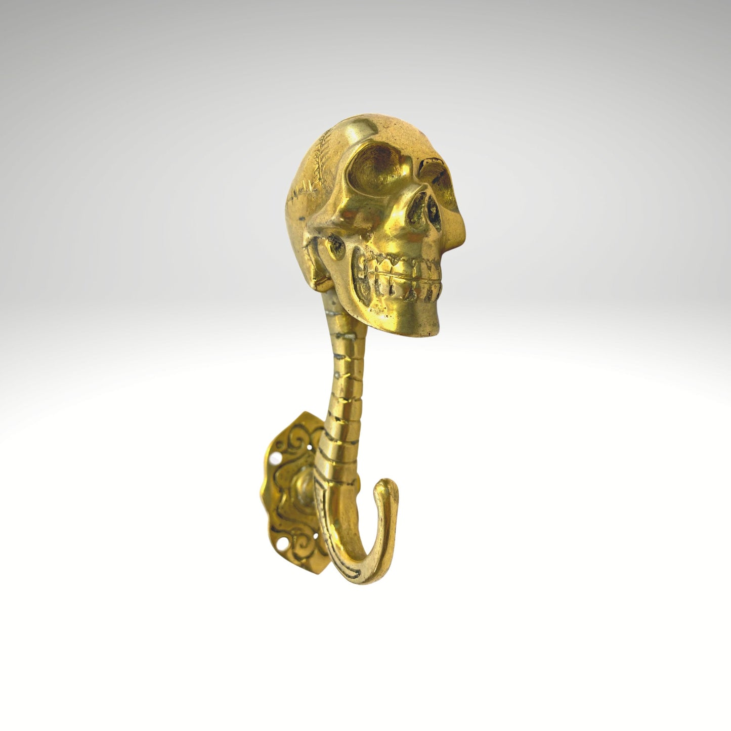 Gothic Skull Wall Coat Hook Skeleton Bones Spinal column Wall Hook Handmade Gold Bronze Cast Balinese Art