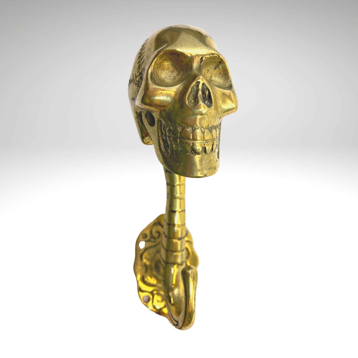 Gothic Skull Wall Coat Hook Skeleton Bones Spinal column Wall Hook Handmade Gold Bronze Cast Balinese Art