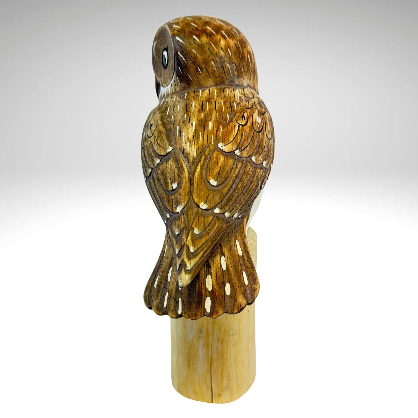 Hand Carved Barn Owl Sculpture: Painted Bird Wood Carving Statue