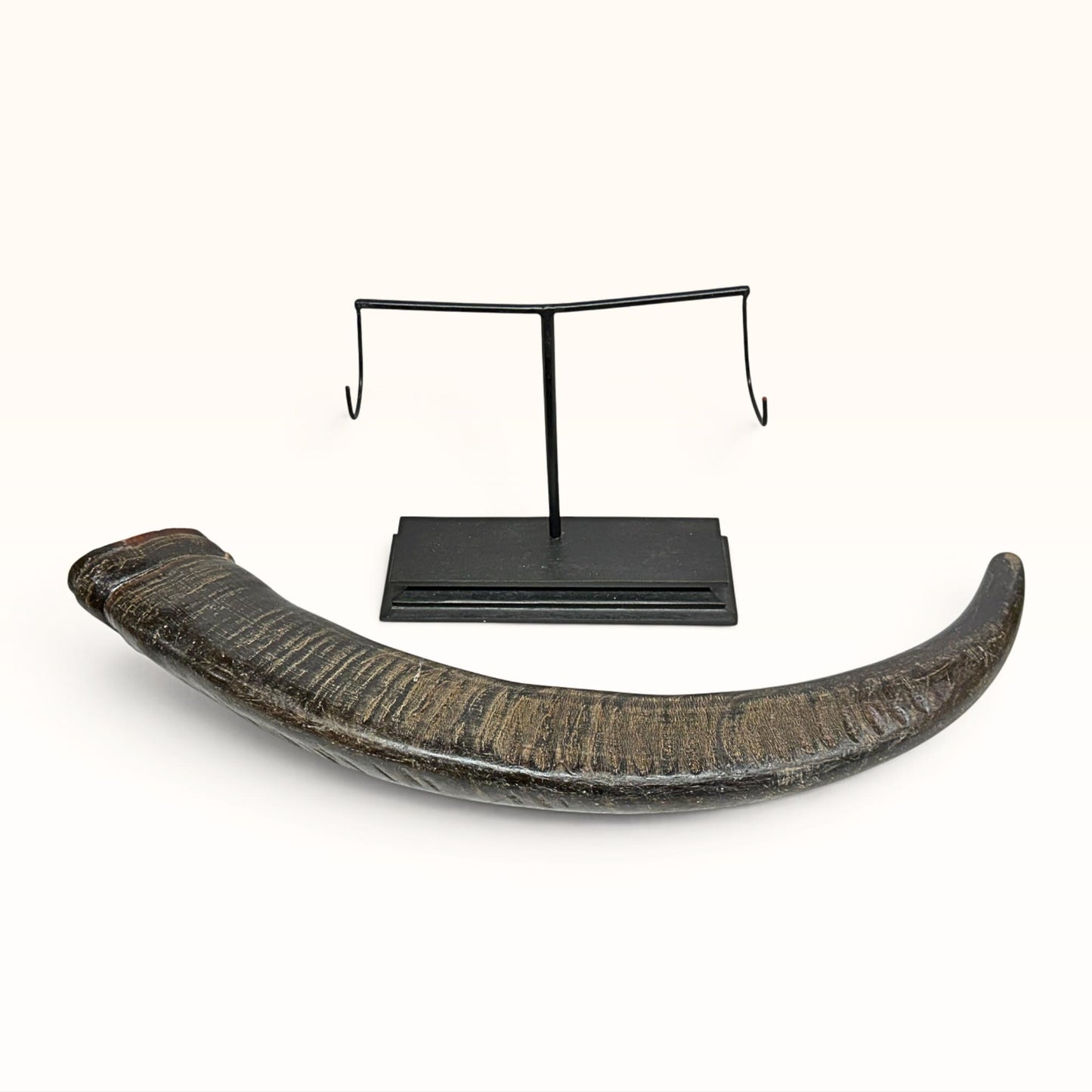 Hand Carved Water Buffalo Horn: Mystical Phoenix Dragon Art, Balinese Bone Carving Boho Decor