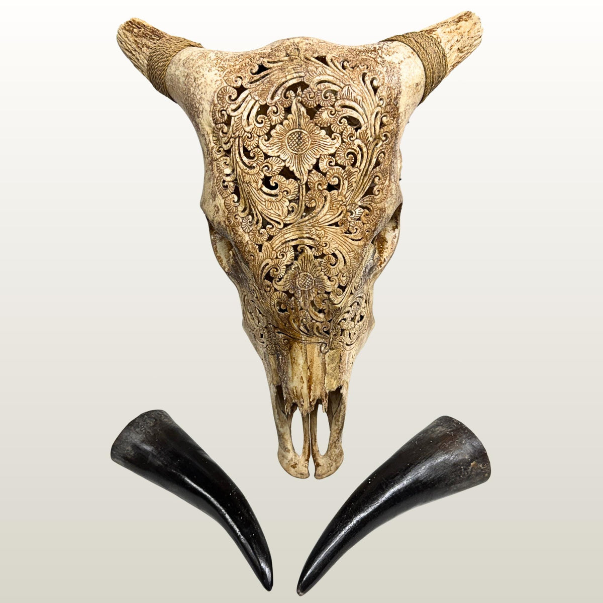 Hand Carved Steer Skull with Padma Lotus Motif, Balinese Bone Carving Art (Wall Mount)