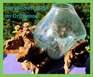 Blown Glass Bubble & Teak Wood Terrariums & Fish Bowls