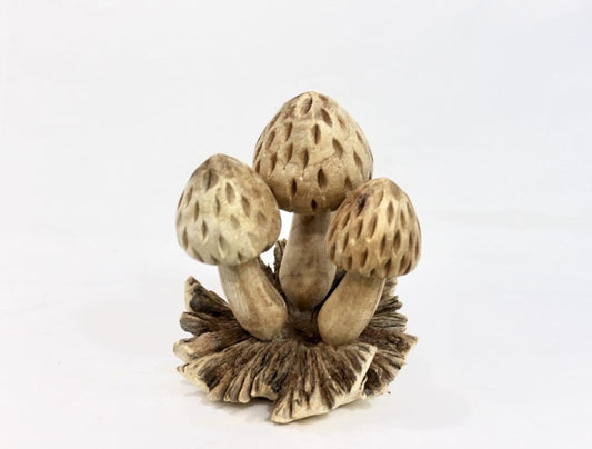 Forest Morel Mushroom Statue Parasite Wood Carving Handmade Bali Art Sculpture Cottagecore Fall Autumn Decor