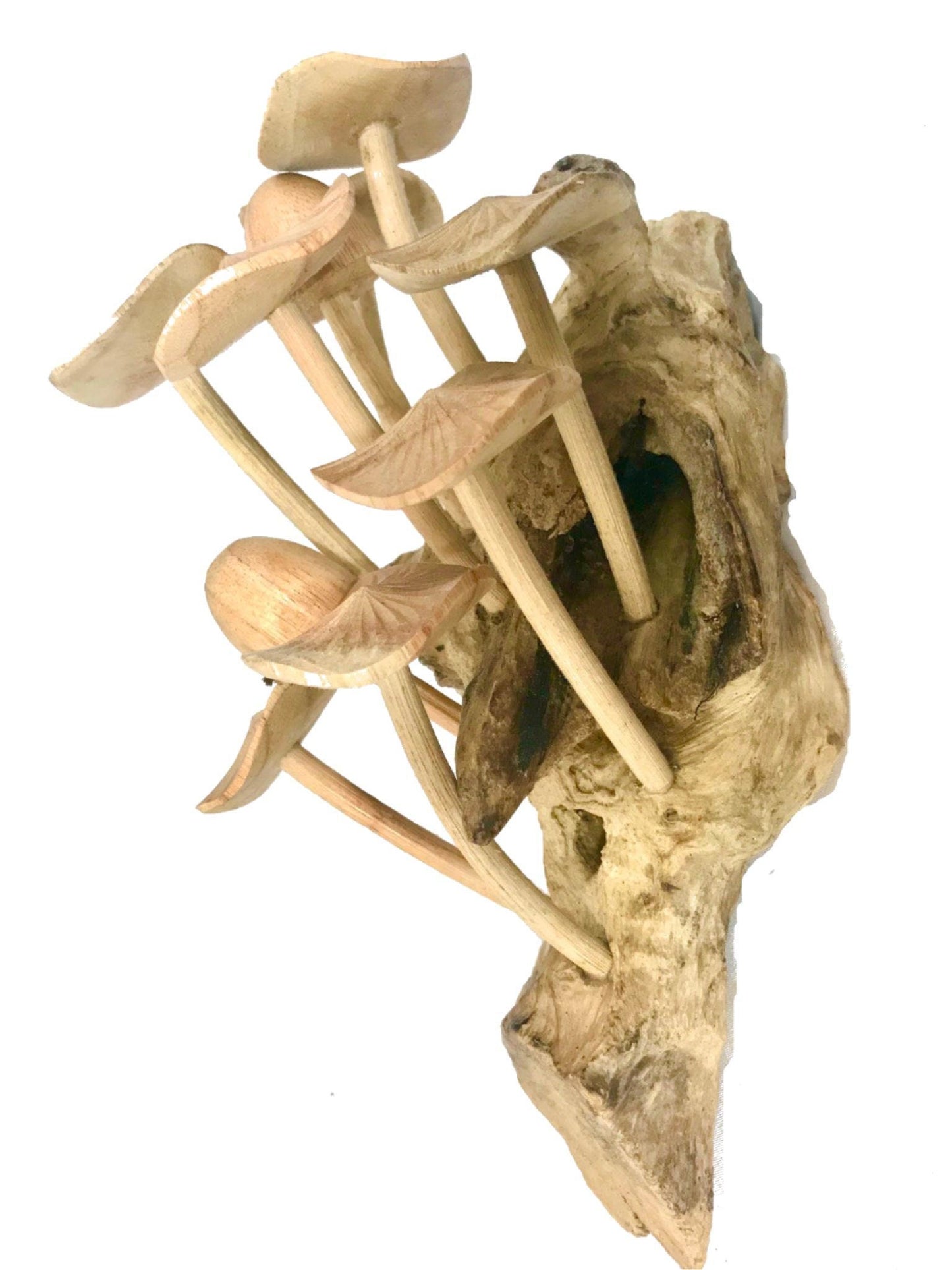 Magic Bali Mushroom Fungi Rustic Wall art  Decor sculpture Hand Carved Wood Balinese Art wall hanging