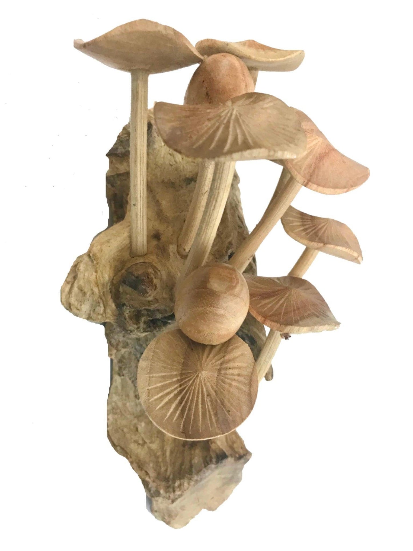 Magic Bali Mushroom Fungi Rustic Wall art  Decor sculpture Hand Carved parasite Wood Balinese Art wall hanging