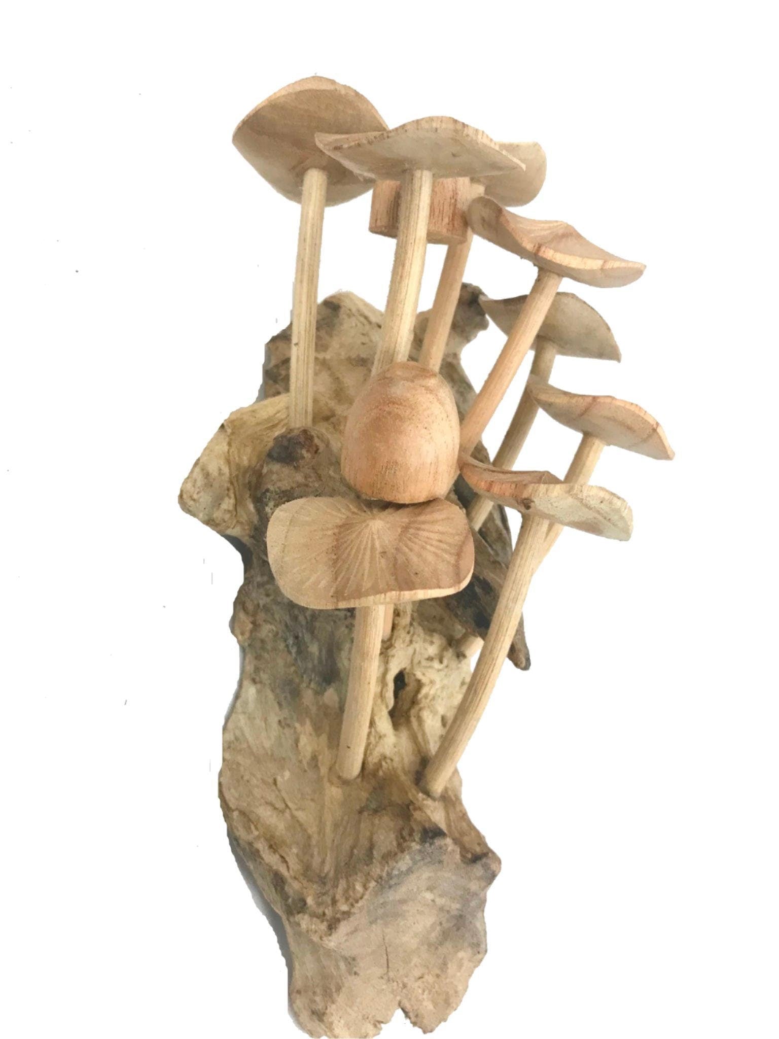 Magic Bali Mushroom Fungi Rustic Wall art  Decor sculpture Hand Carved Wood Balinese Art wall hanging