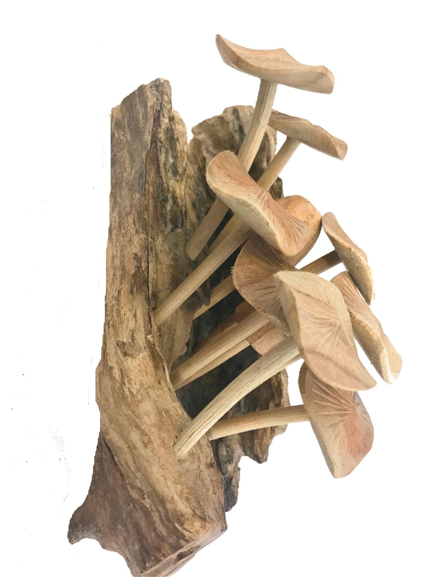 Magic Bali Mushroom Fungi Rustic Wall art  Decor sculpture Hand Carved Wood Balinese Art wall hanging