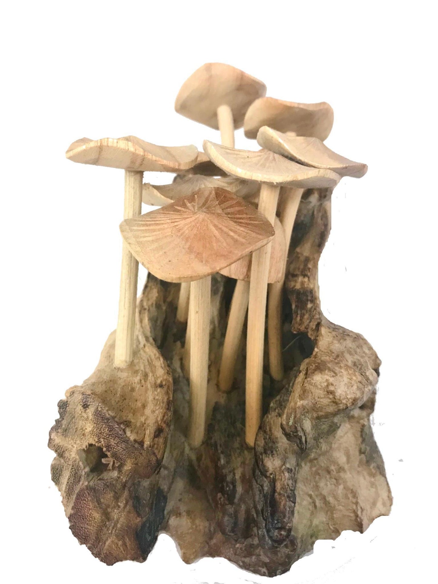 Magic Bali Mushroom Fungi Rustic Wall art  Decor sculpture Hand Carved Wood Balinese Art wall hanging