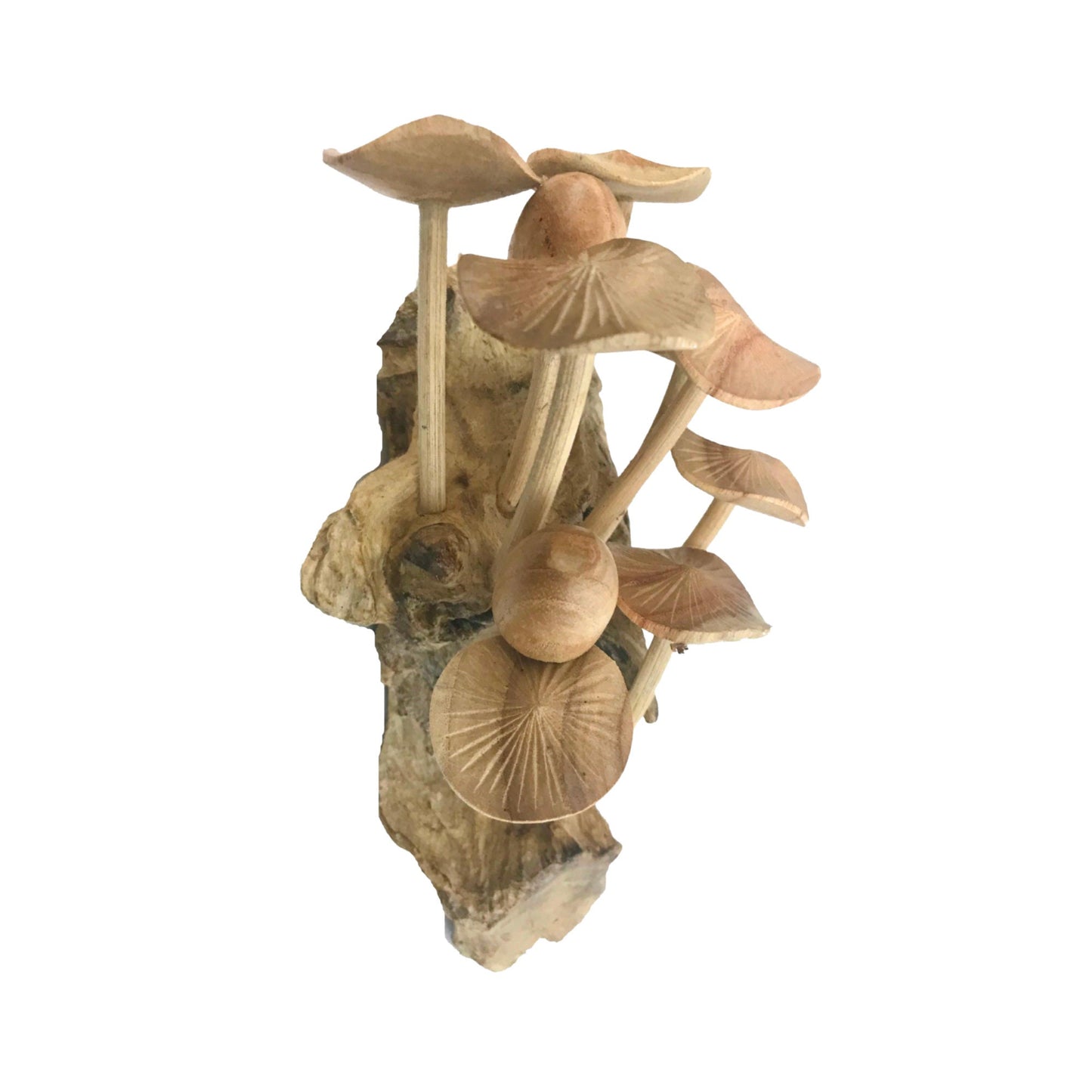 Magic Bali Mushroom Fungi Rustic Wall art  Decor sculpture Hand Carved Wood Balinese Art wall hanging