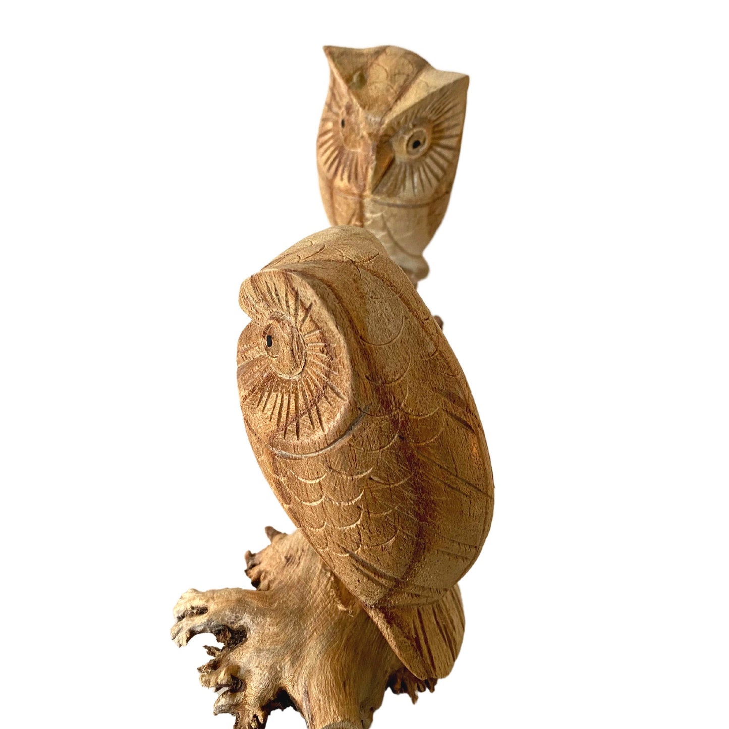 Roosting Owl Bird Sculpture Hand Carved Parasite Mushroom Wood Statue Bali art