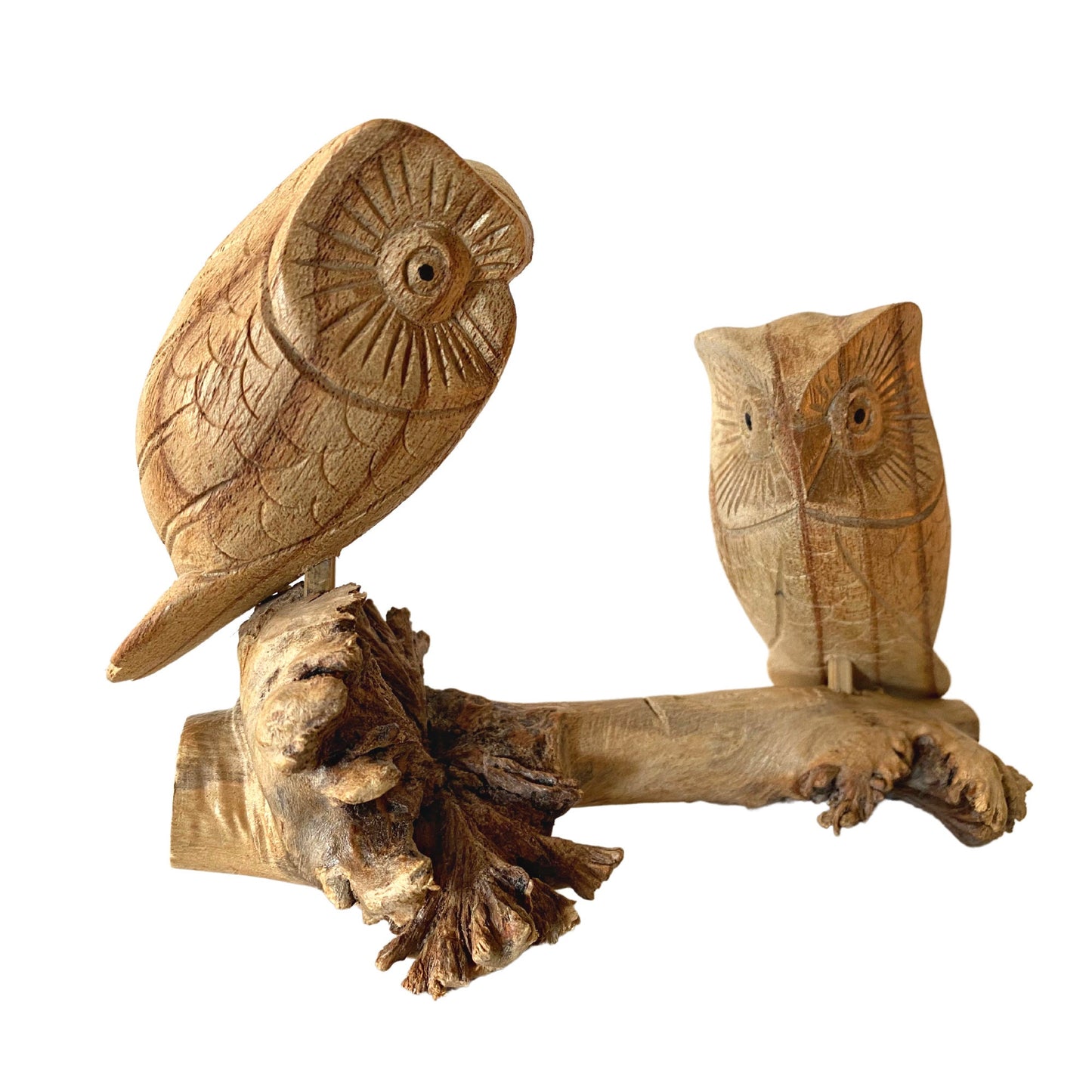 Roosting Owl Bird Sculpture Hand Carved Parasite Mushroom Wood Statue Bali art