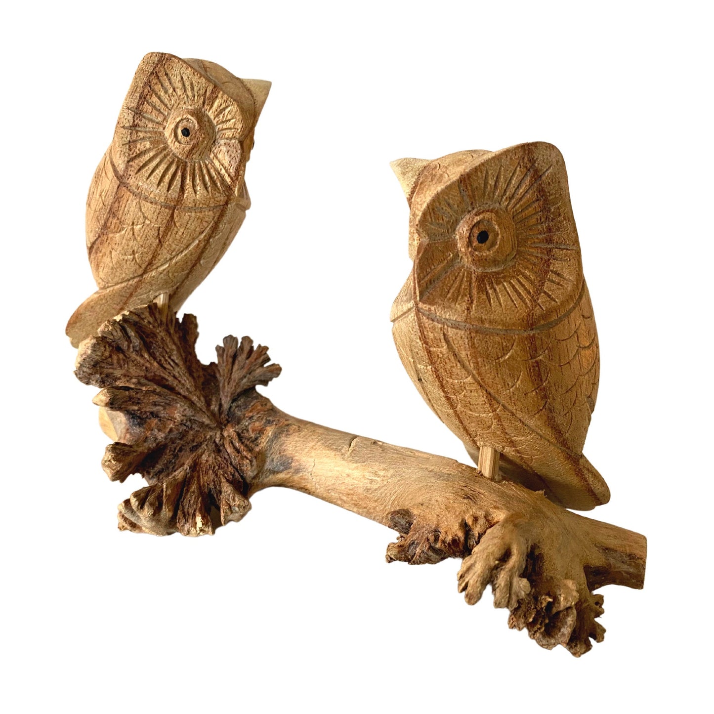 Roosting Owl Bird Sculpture Hand Carved Parasite Mushroom Wood Statue Bali art