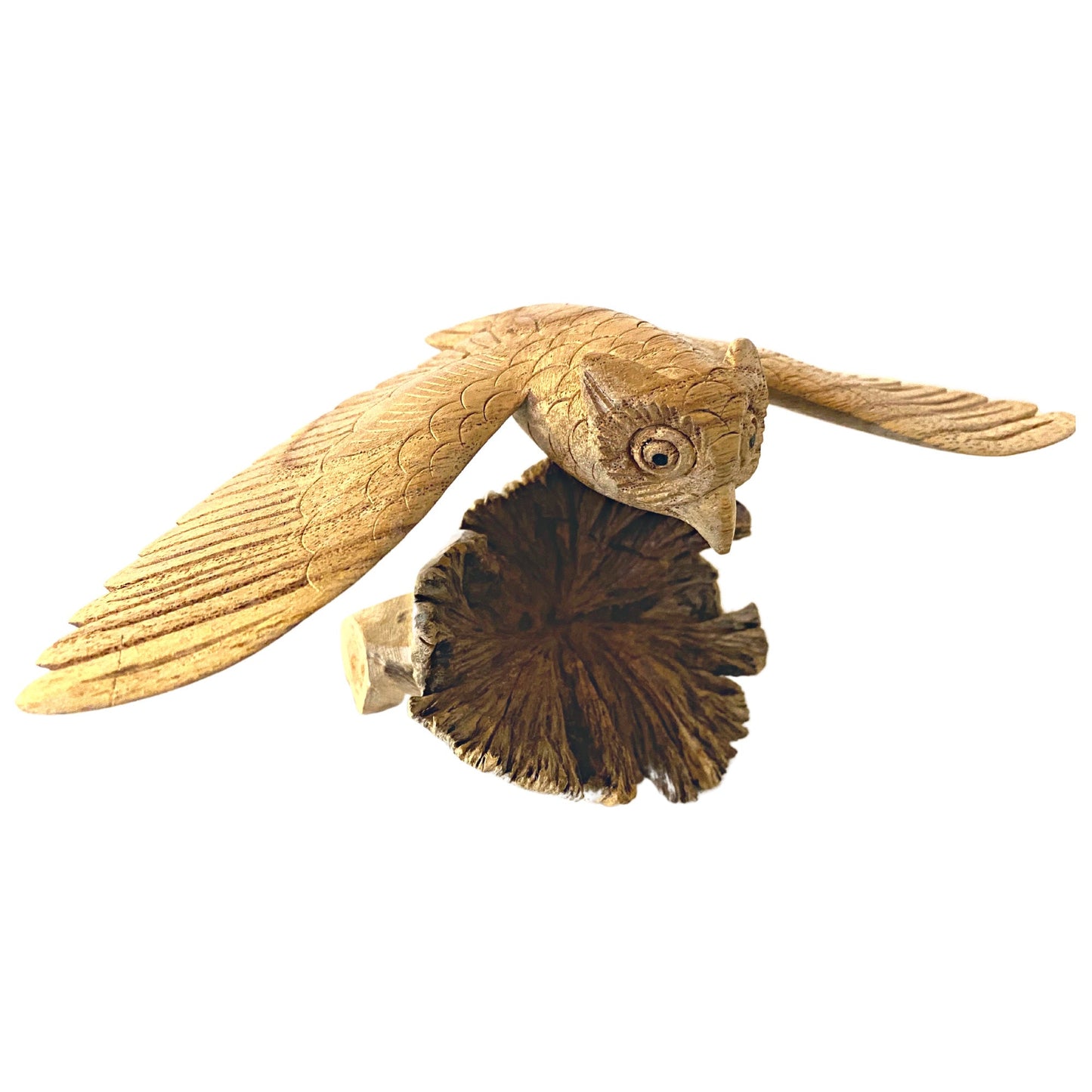 flying Owl Bird of Prey Sculpture Hand Carved Parasite Mushroom Wood Statue Bali art