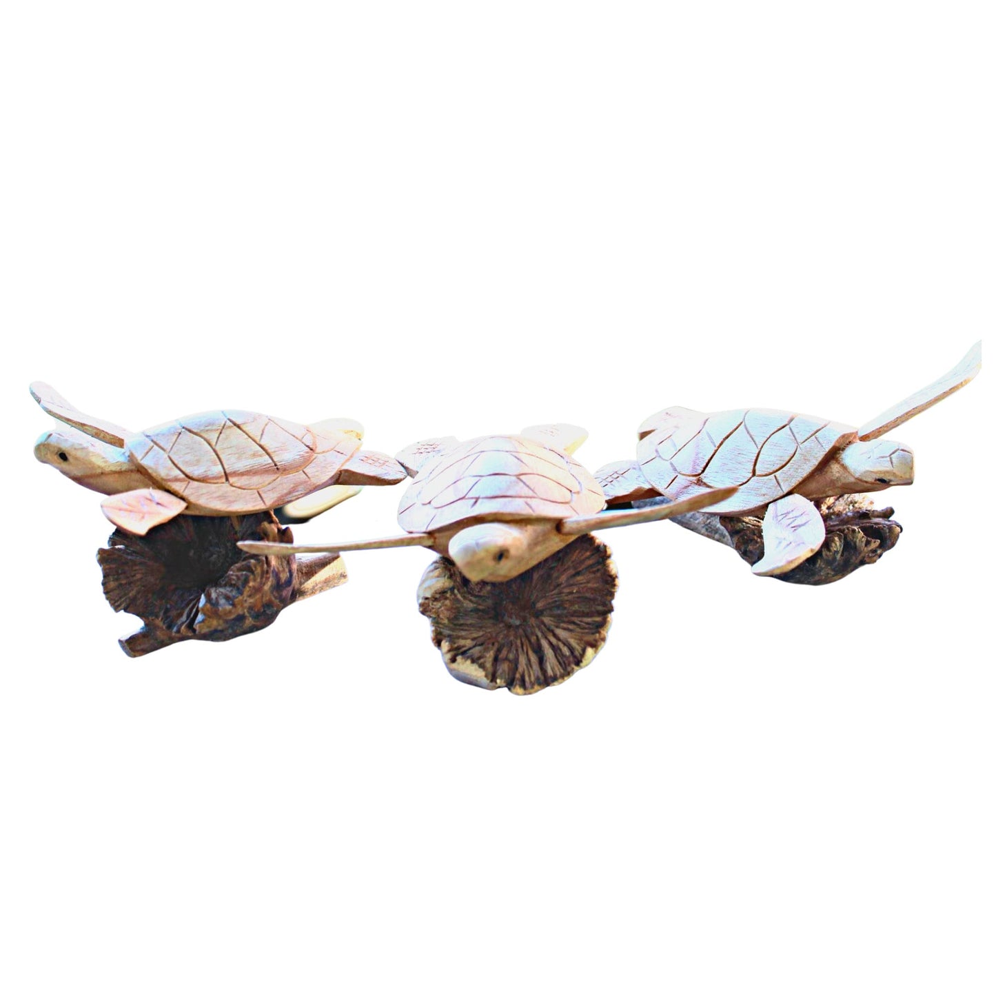 Sea Turtle Statue Terrapin Parasite Wood Carving Mushroom Hand carved Sealife Bali art