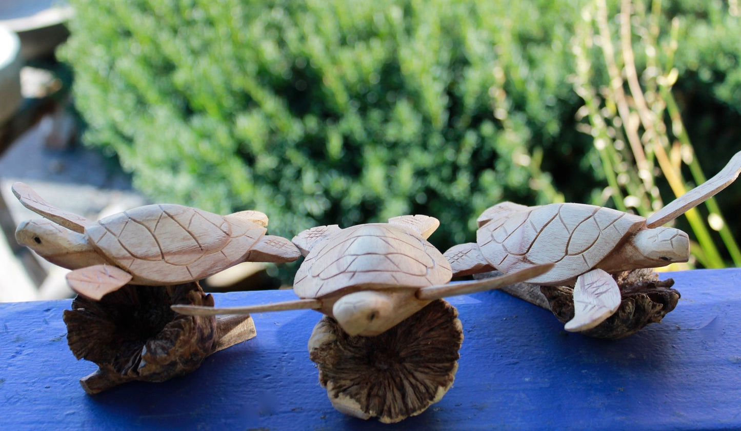 Sea Turtle Statue Terrapin Parasite Wood Carving Mushroom Hand carved Sealife Bali art