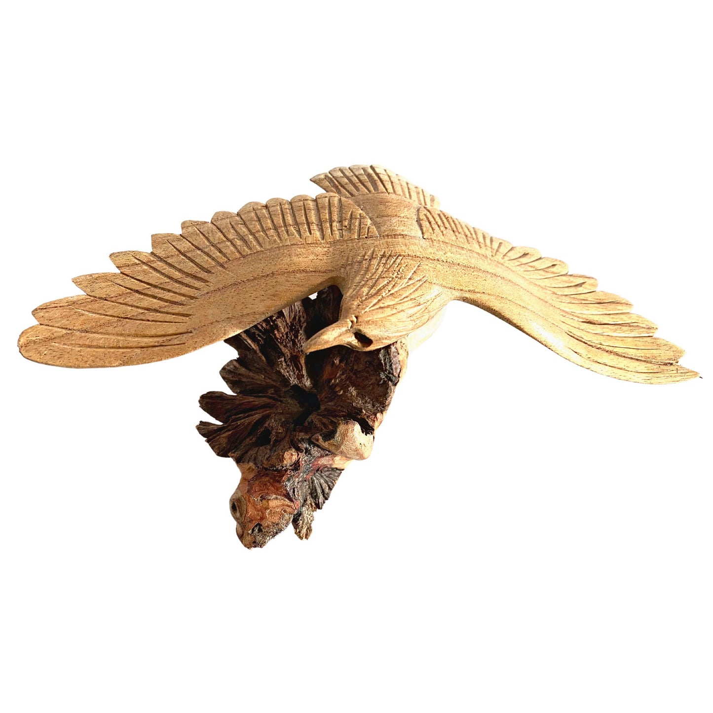 Swooping Eagle Bird of Prey Sculpture Hand Carved Parasite Mushroom Wood Statue Bali art