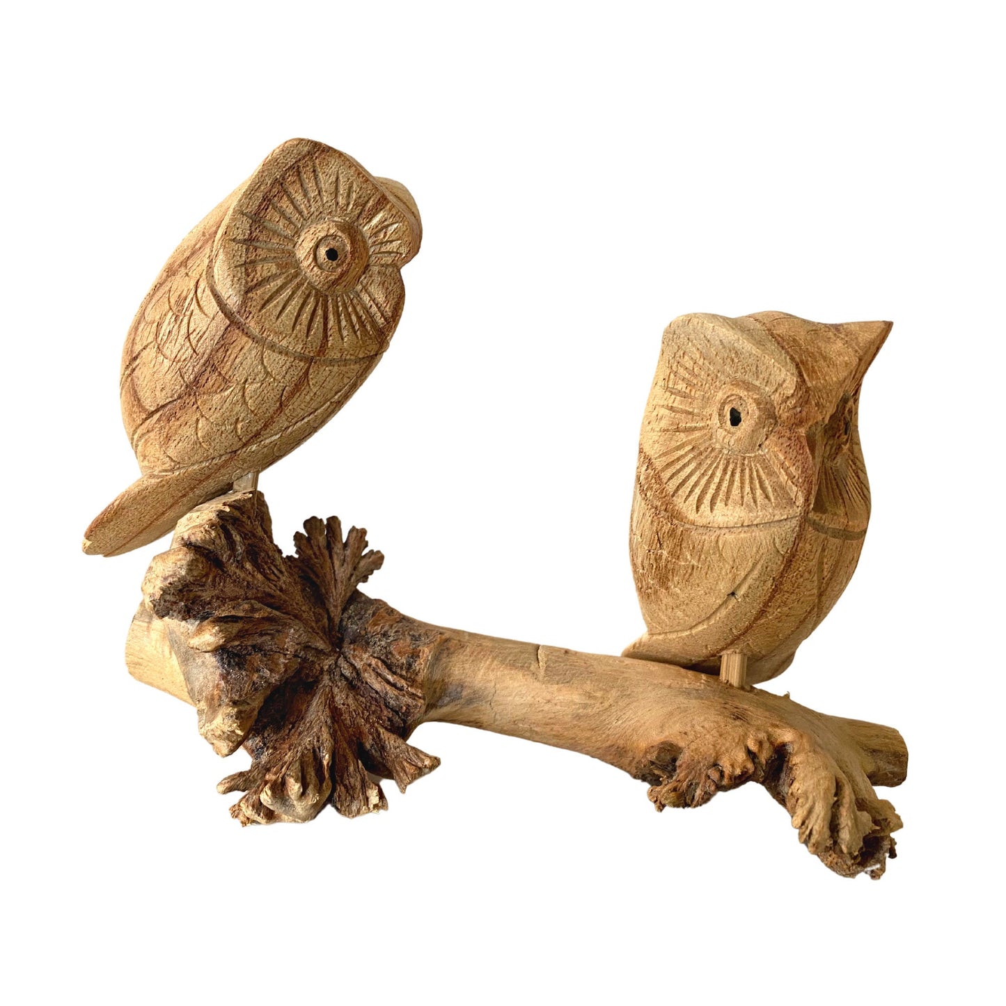 Roosting Owl Bird Sculpture Hand Carved Parasite Mushroom Wood Statue Bali art