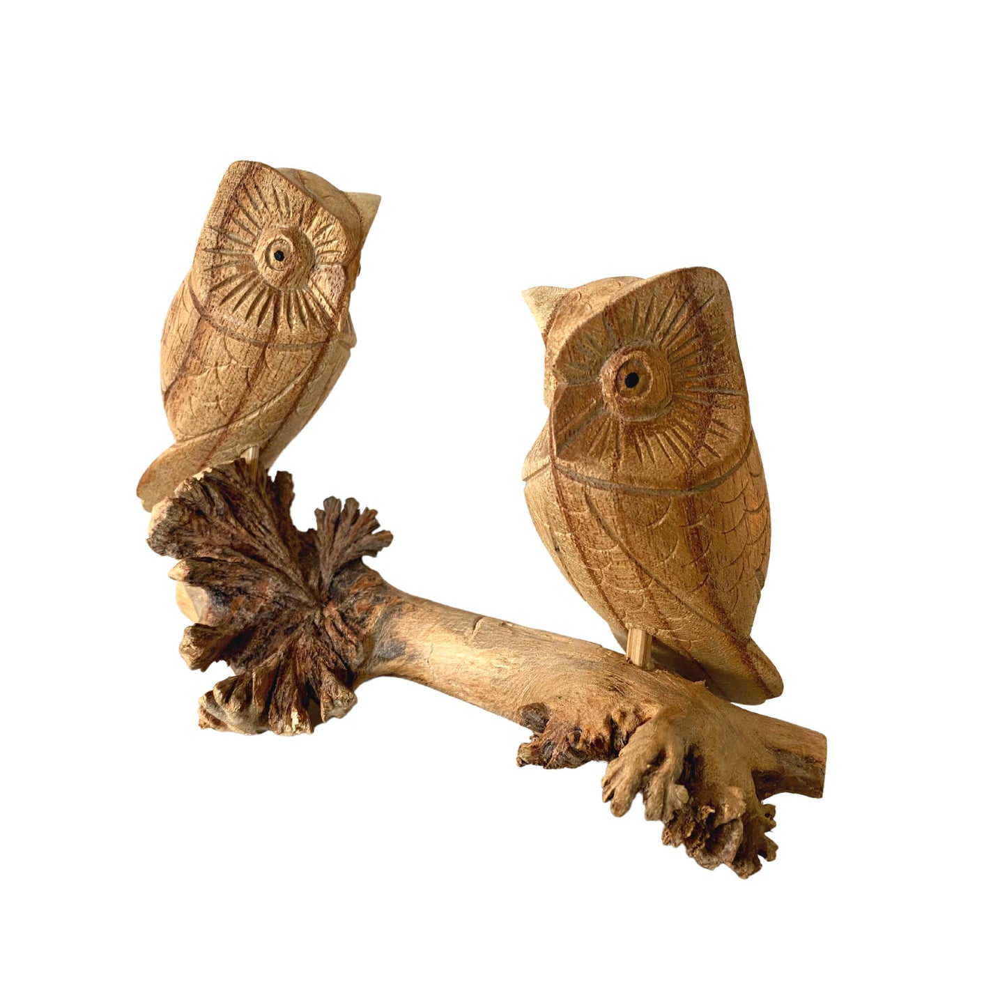 Roosting Owl Bird Sculpture Hand Carved Parasite Mushroom Wood Statue Bali art
