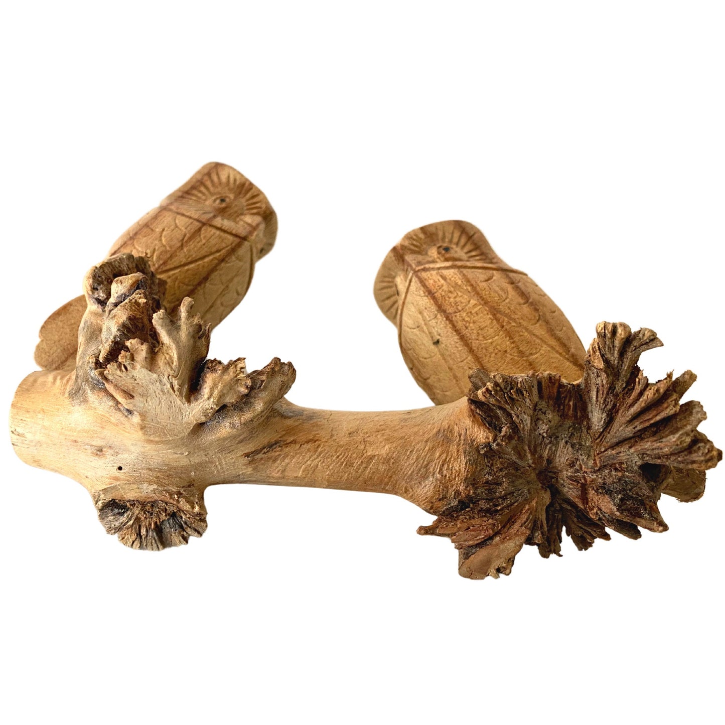 Roosting Owl Bird Sculpture Hand Carved Parasite Mushroom Wood Statue Bali art