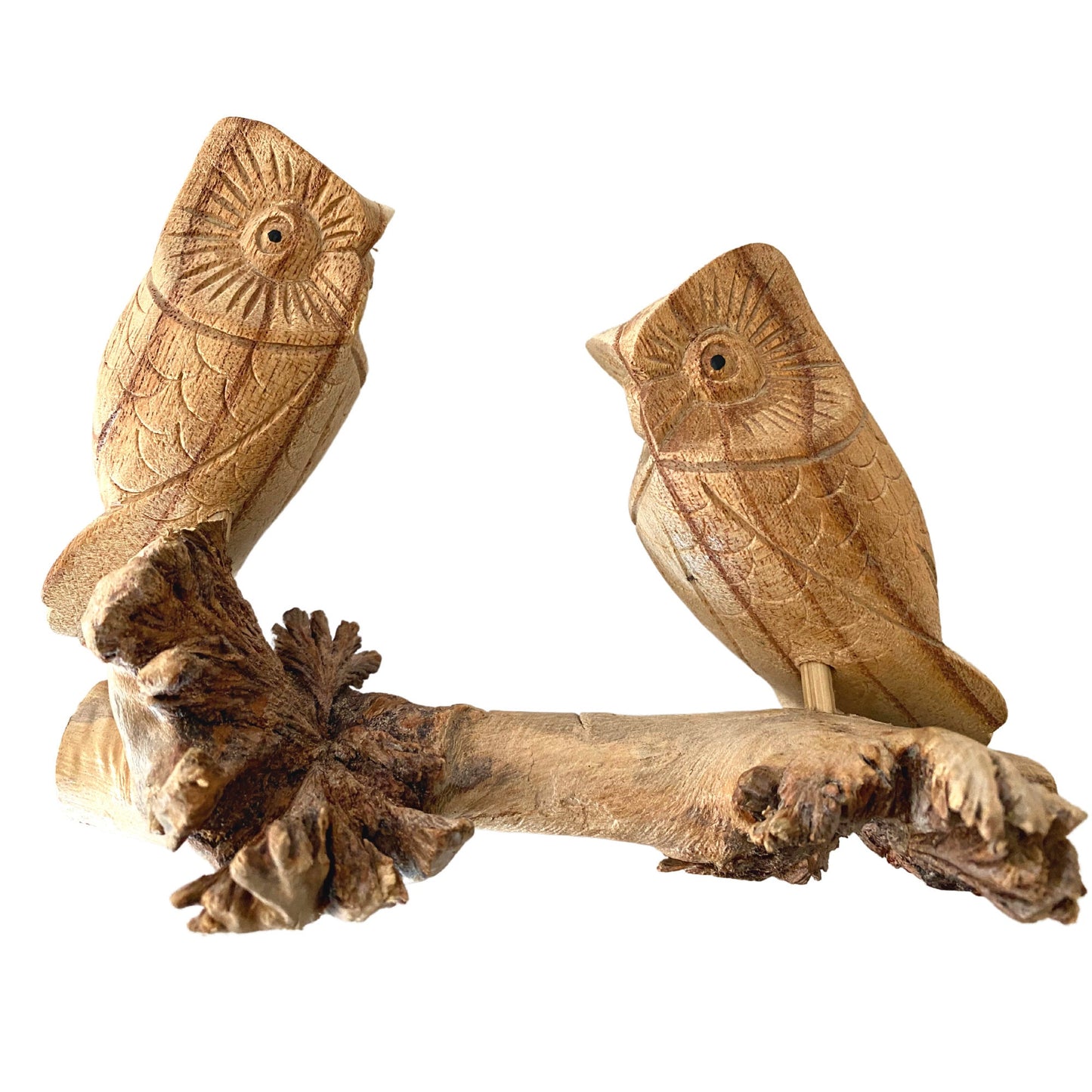 Roosting Owl Bird Sculpture Hand Carved Parasite Mushroom Wood Statue Bali art