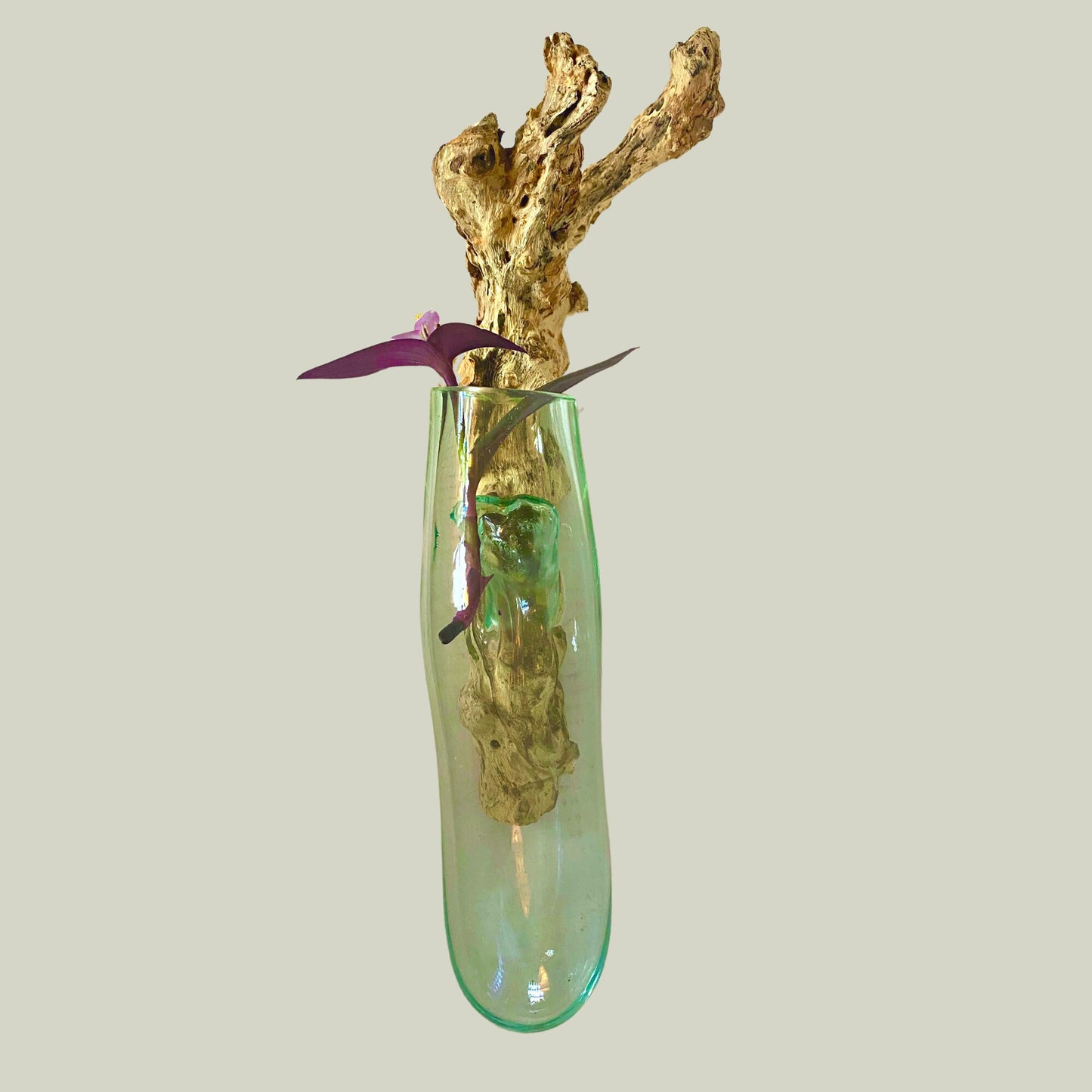 Hand Blown Glass hydroponics Propagation Vase: Teak Wood Base, Balinese Art