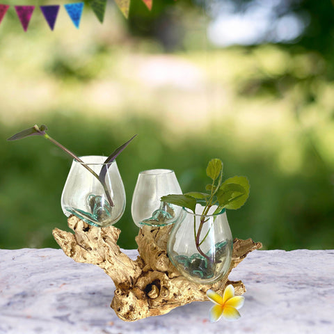 Hand Blown Glass Triple Terrarium Bowl Vase Plant Propagation Rooter Slumped Reclaimed Teak Root Wood Base Eclectic Boho Decor Balinese Art