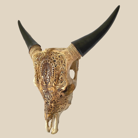 Bali Ganesha HAND CARVED Cow Steer SKULL horn Taxidermy Bull Wall Mount Balinese Bone Carving Art Eclectic Boho Decor