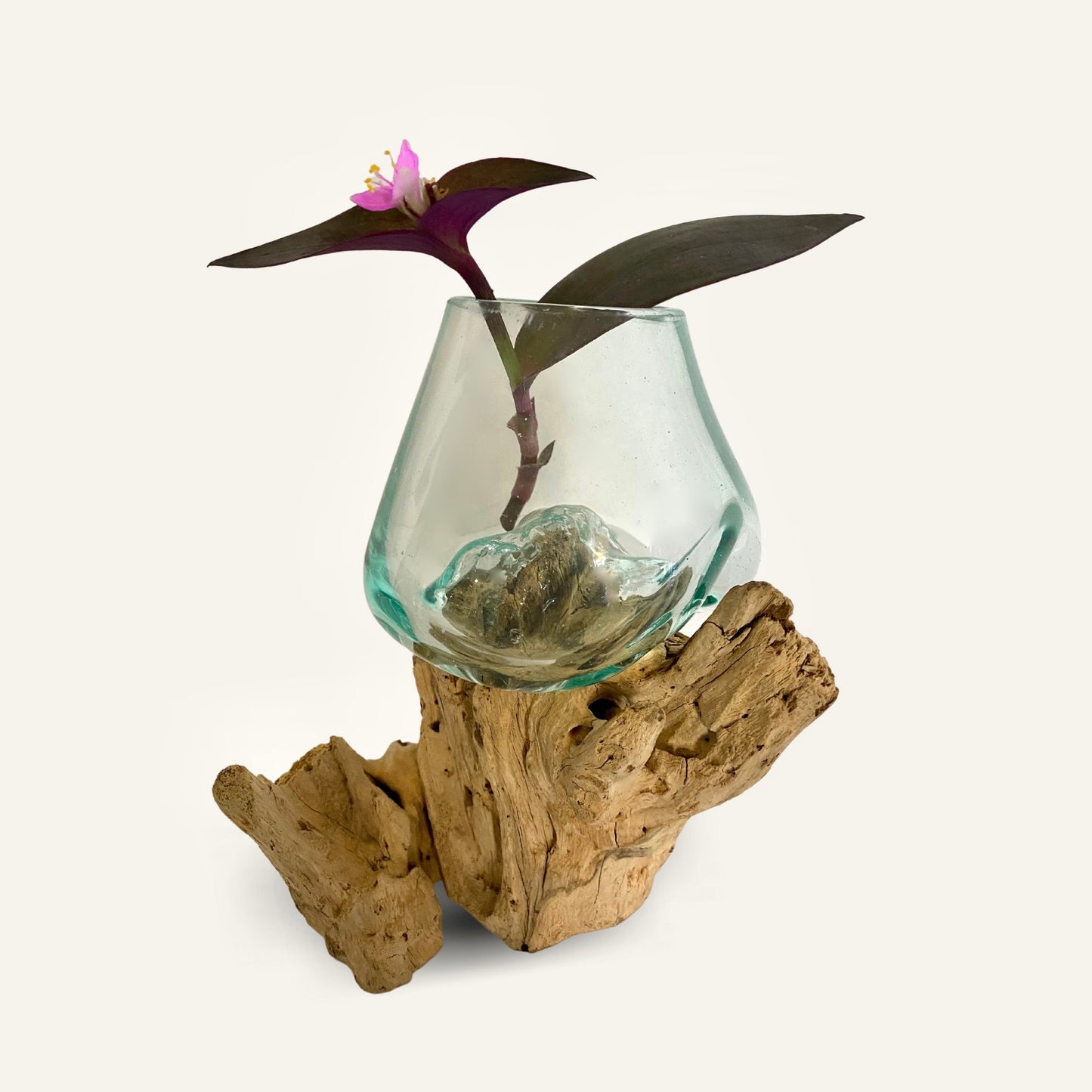 Hand Blown Glass Plant Propagation Vase: Slumped on Reclaimed Teak Wood Base, Balinese Decor