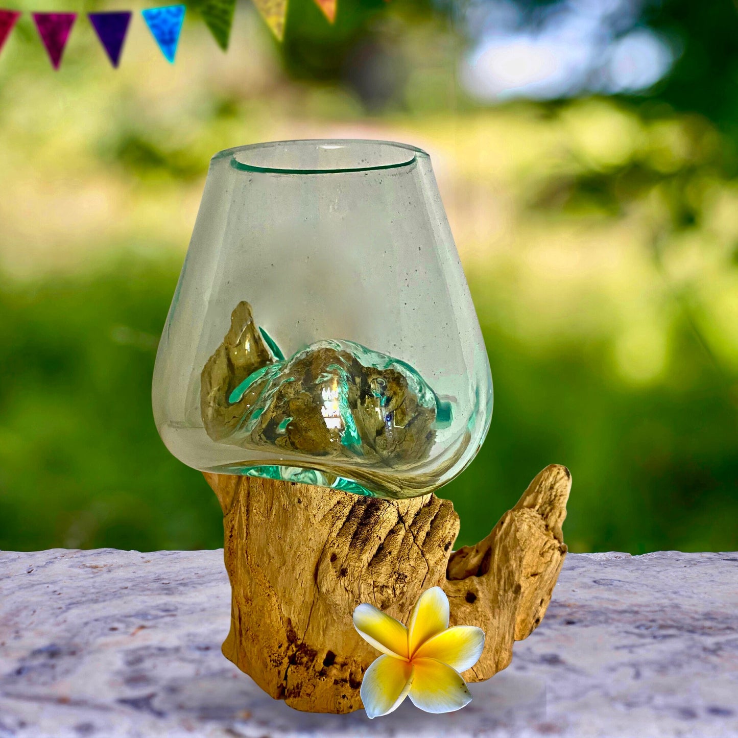 Hand Blown Glass Plant Propagation Vase: Slumped on Reclaimed Teak Wood Base, Balinese Decor