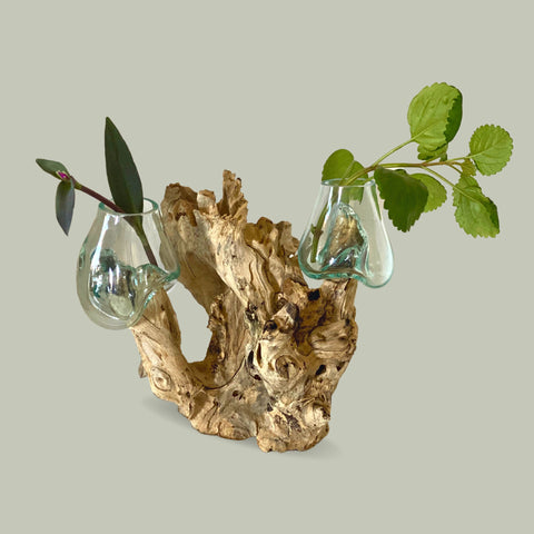 Hand Blown Glass Double Terrarium Bowl Vase Plant Propagation Rooter Slumped Reclaimed Teak Root Wood Base Eclectic Boho Decor Balinese Art