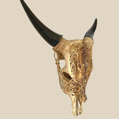 Bali Ganesha HAND CARVED Cow Steer SKULL horn Taxidermy Bull Wall Mount Balinese Bone Carving Art Eclectic Boho Decor