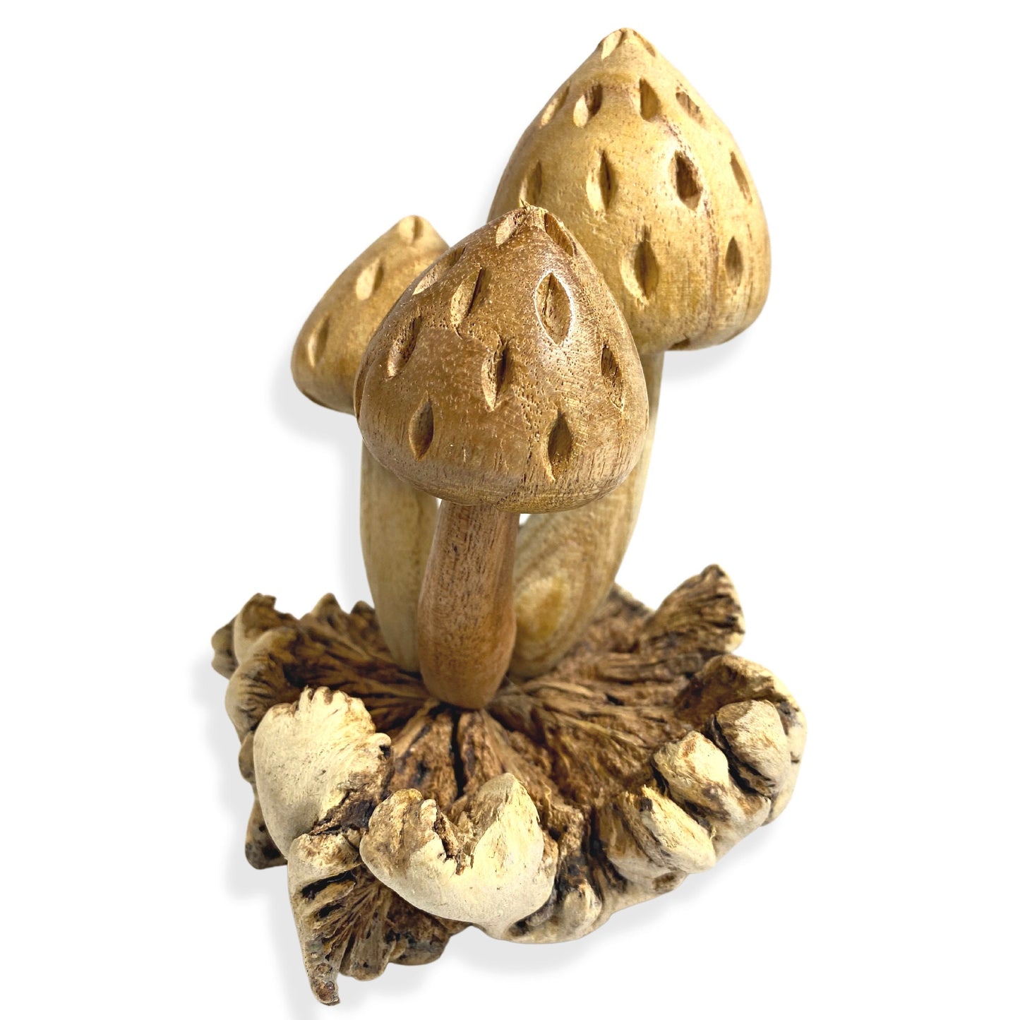 Hand Carved Forest Mushroom Statue : Balinese Parasite Wood Art Sculpture