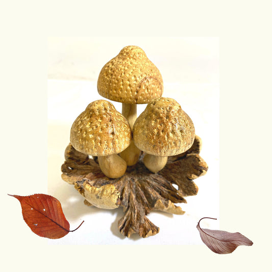 Forest Speckled Mushroom Wood Carving Statue Parasite Fungi Hand Carved Handmade Bali Art Sculpture Cottagecore Autumn Decor