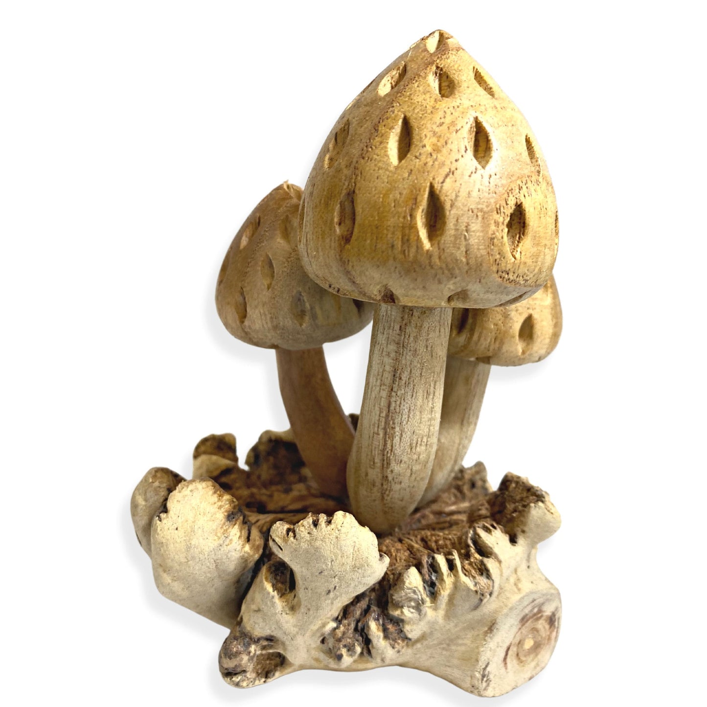 Hand Carved Forest Mushroom Statue : Balinese Parasite Wood Art Sculpture