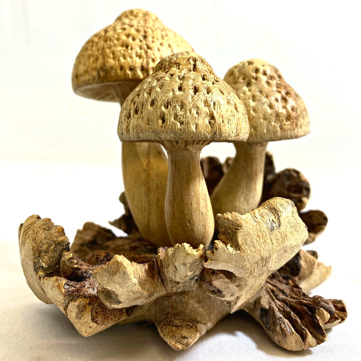 Mushroom Carving Statue | Hand Carved Fungi Sculpture for Nature Decor & Bali Forest Home Accent