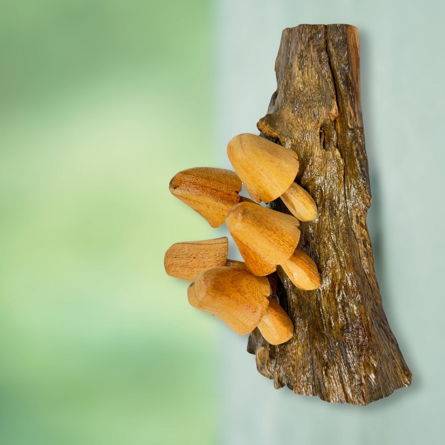 Hand Carved Wood Mushroom Sculpture: Rustic Cottage Wall Art