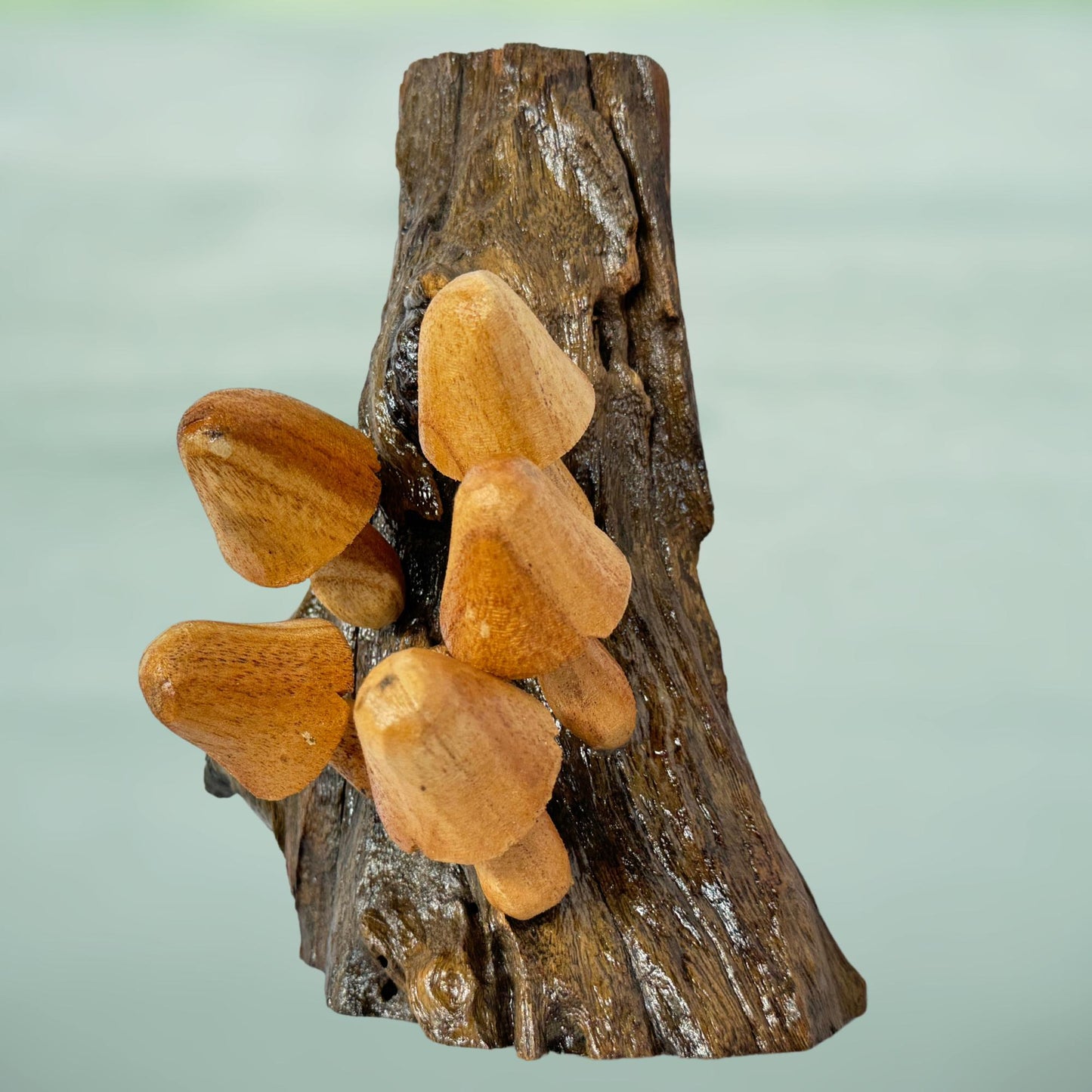 Hand Carved Wood Mushroom Sculpture: Rustic Cottage Wall Art
