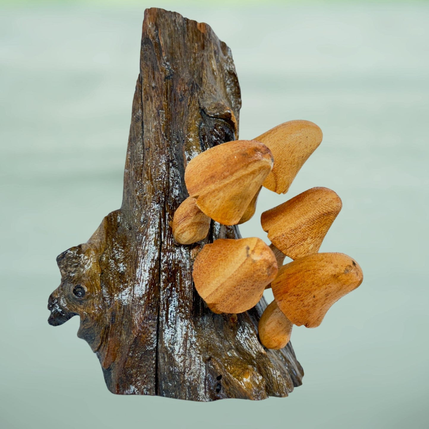Hand Carved Wood Mushroom Sculpture: Rustic Cottage Wall Art