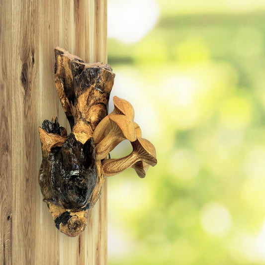 Hand Carved Parasite Wood Mushroom Sculpture: Balinese Cottage Wall Decor